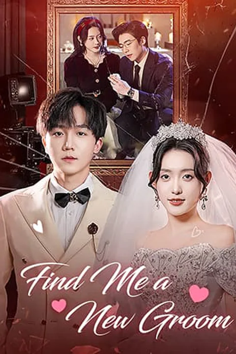 Find Me a New Groom poster