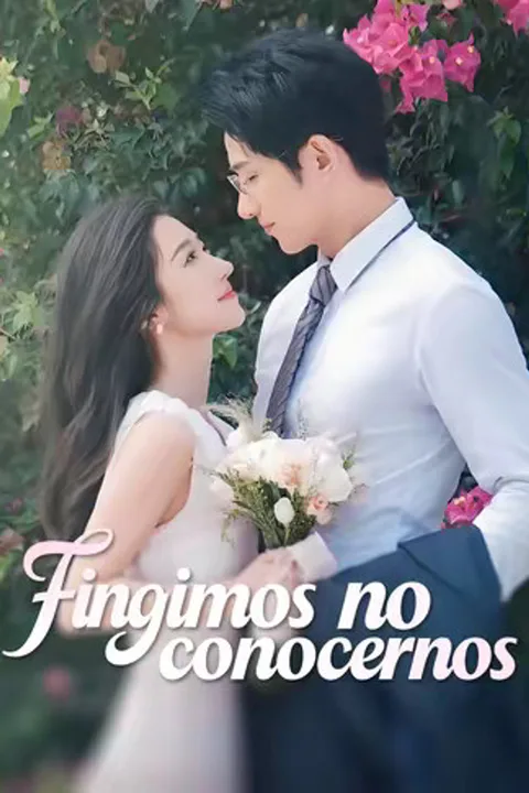 Póster de (Doblado) Fingimos no conocernos