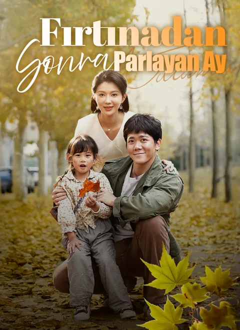Fırtınadan Sonra Parlayan Ay afişi