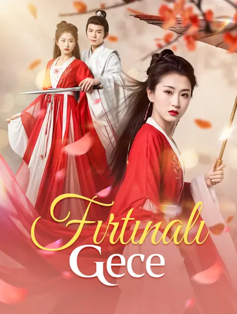 Fırtınalı Gece afişi