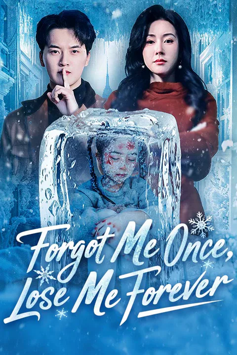Forgot Me Once, Lose Me Forever poster