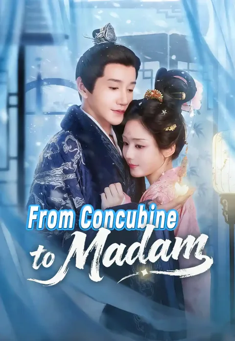 From Concubine to Madam poster