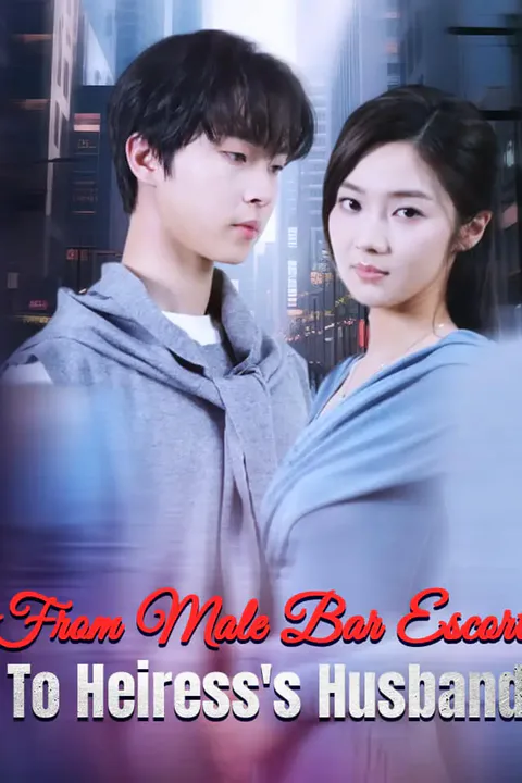 From Male Bar Escort To Heiress's Husband poster