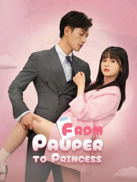 From Pauper to Princess poster