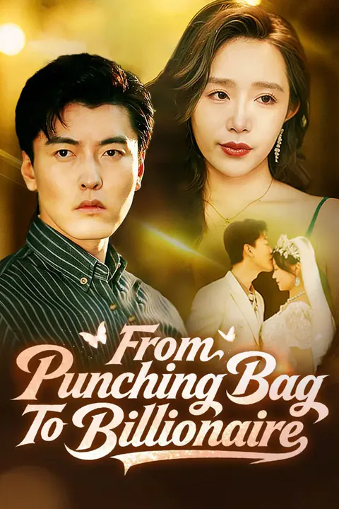 From Punching Bag To Billionaire poster