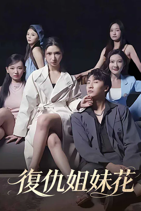 《復仇姐妹花》海報