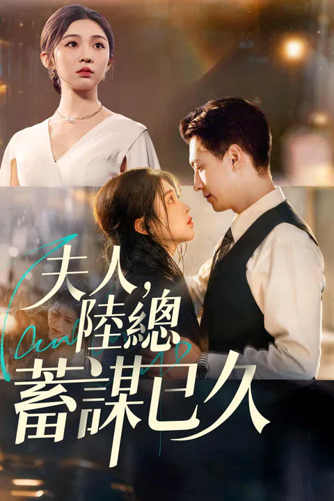《夫人，陸總蓄謀已久》海報