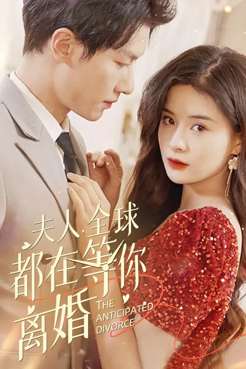 《夫人，全球都在等你离婚》海报