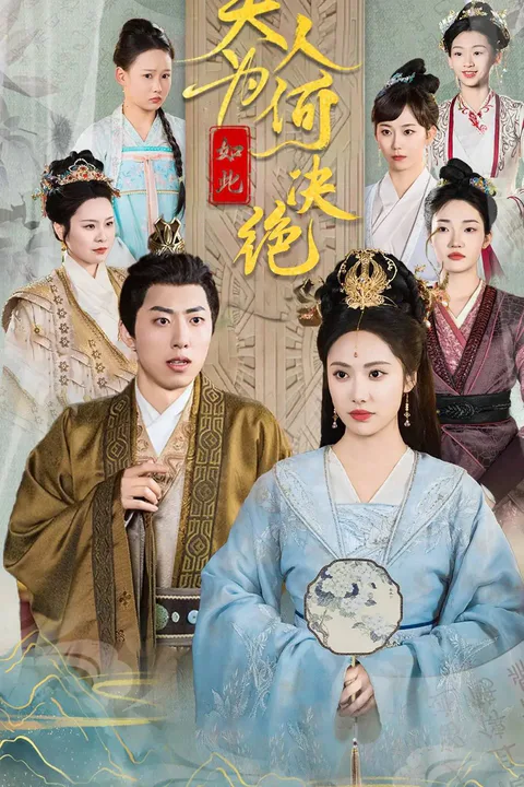 《夫人為何如此決絕》海報