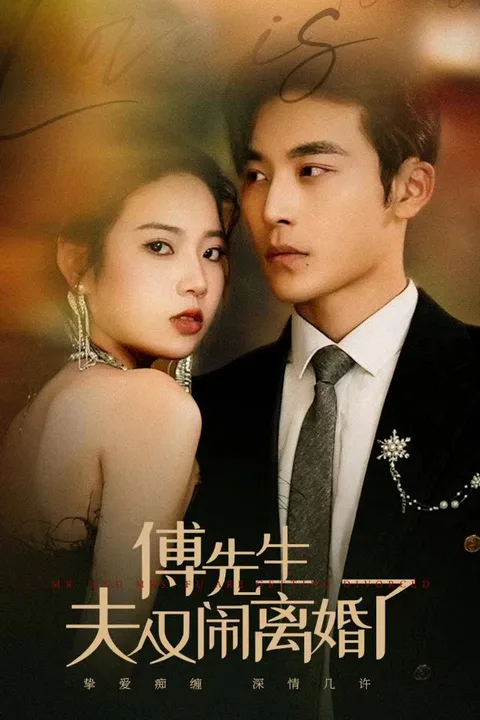 《傅先生，夫人又鬧離婚了》海報