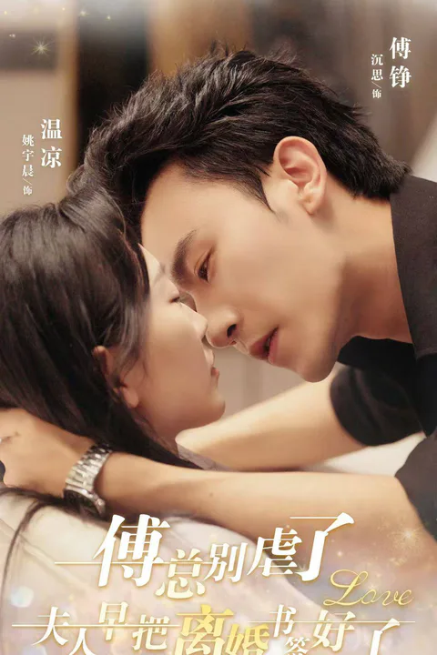 《傅总别虐了，夫人早把离婚书签好了》海报