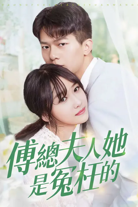《傅總夫人她是冤枉的》海報