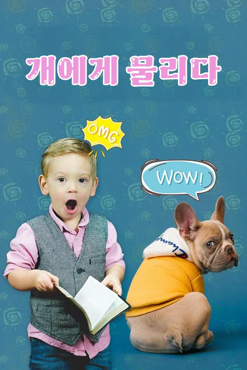 개에게 물리다 포스터