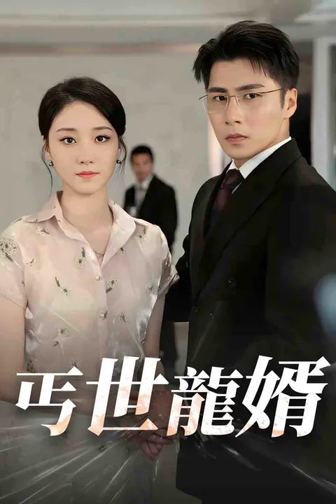 《丐世龍婿》海報