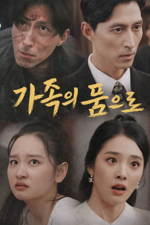 가족의 품으로 포스터