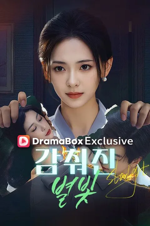 감춰진 별빛 포스터