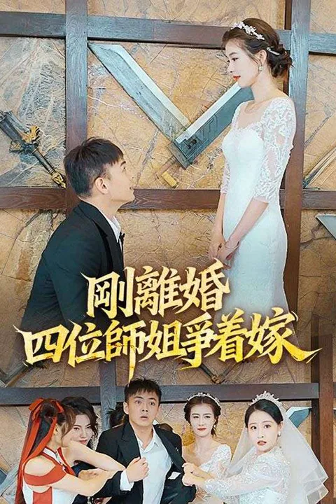 《剛離婚，四位師姐爭着嫁》海報