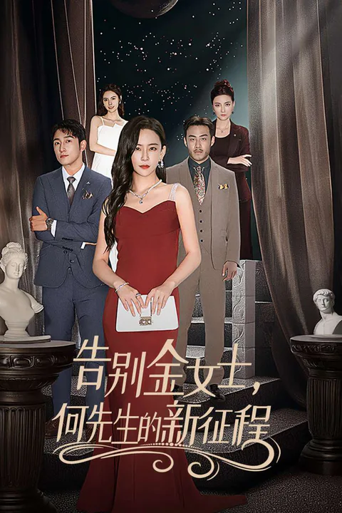 《告别金女士，何先生的新征程》海报
