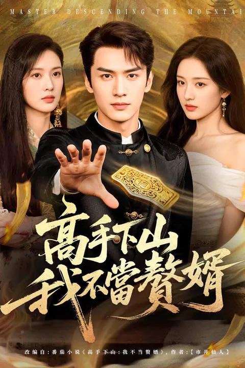 《高手下山，我不當贅婿》海報
