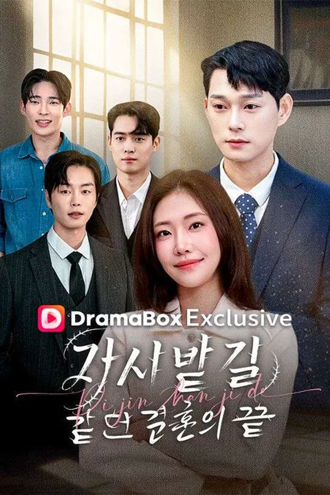 가시밭길 같던 결혼의 끝 포스터
