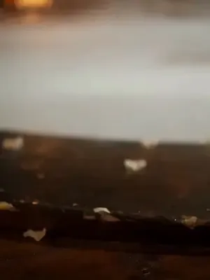 Gayrimeşru kızın intikamı afişi
