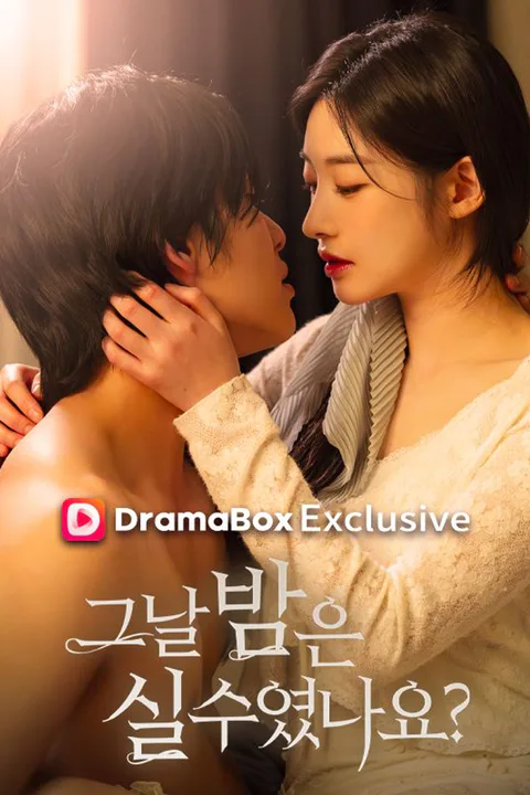 그날 밤은 실수였나요? 포스터