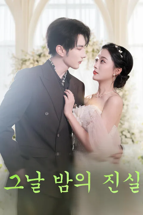 그날 밤의 진실 포스터