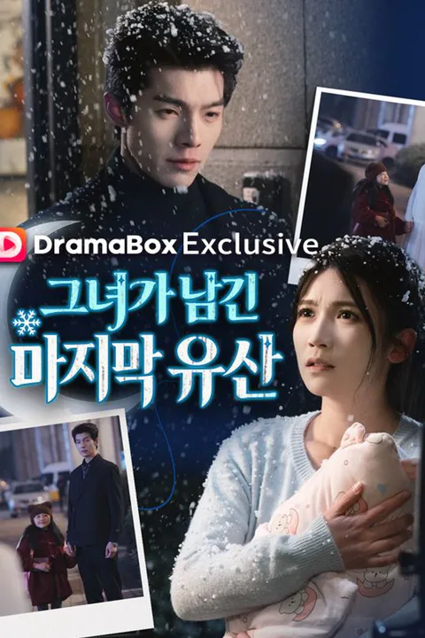 그녀가 남긴 마지막 유산 포스터