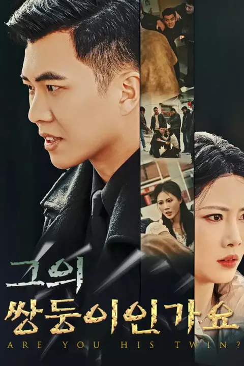 그의 쌍둥이인가요 포스터