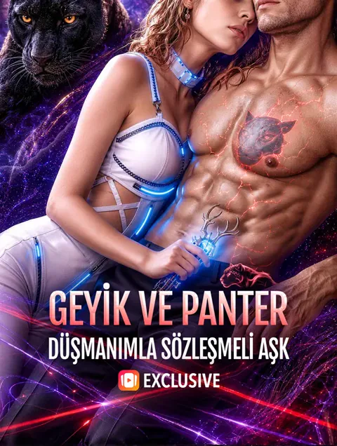 GEYİK VE PANTER: DÜŞMANIMLA SÖZLEŞMELİ AŞK afişi