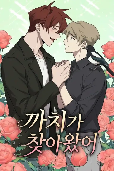 까치가 다가왔다 포스터