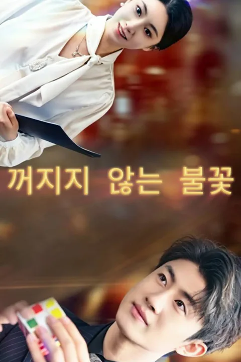 꺼지지 않는 불꽃 포스터