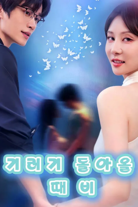 기러기 돌아올 때 비 포스터