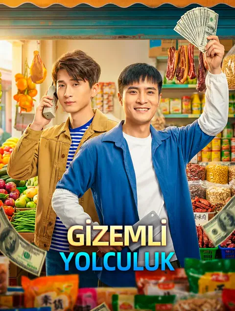 GİZEMLİ YOLCULUK afişi