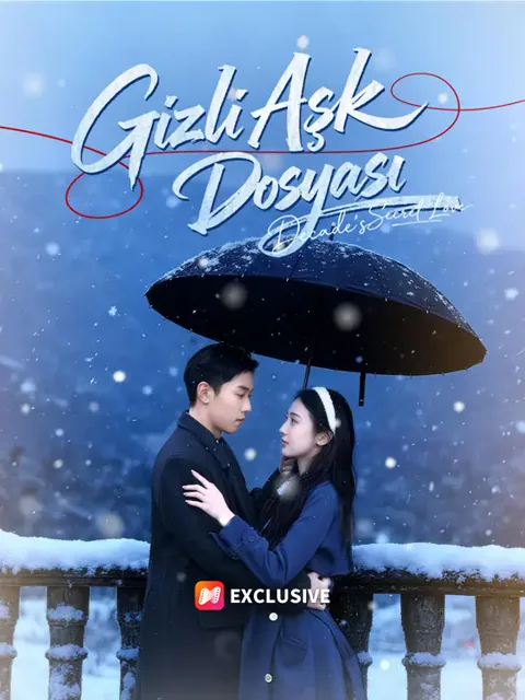 Gizli Aşk Dosyası afişi