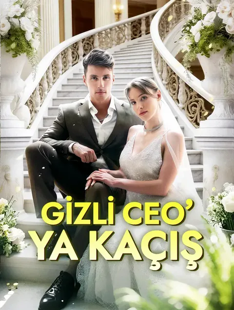 Gizli CEO’ya Kaçış afişi