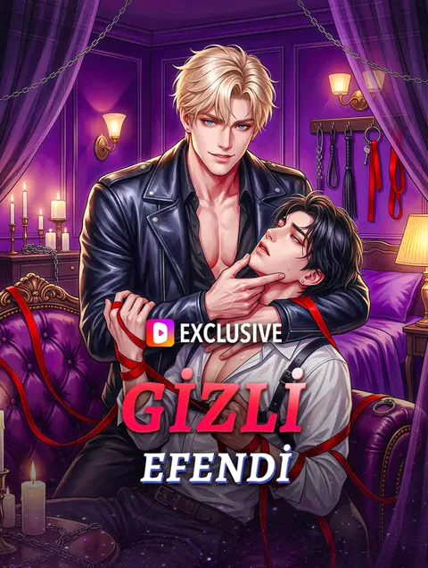 GİZLİ EFENDİ afişi