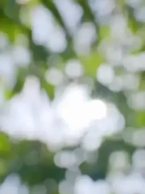 Gizli kılıç ustası afişi
