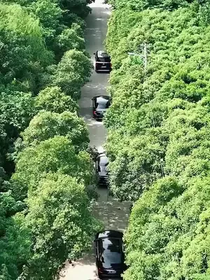 Gizli kimlikli milyarder başkan afişi