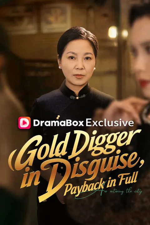 Gold Digger in Disguise, Payback in Full poster