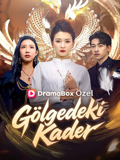 Gölgedeki Kader afişi