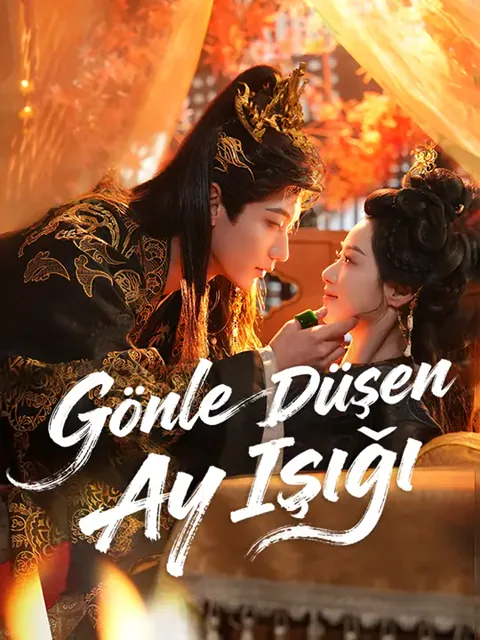 Gönle Düşen Ay Işığı afişi