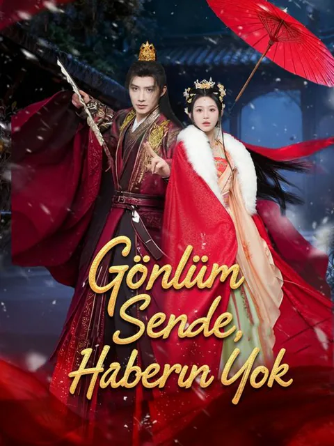 Gönlüm Sende, Haberin Yok afişi