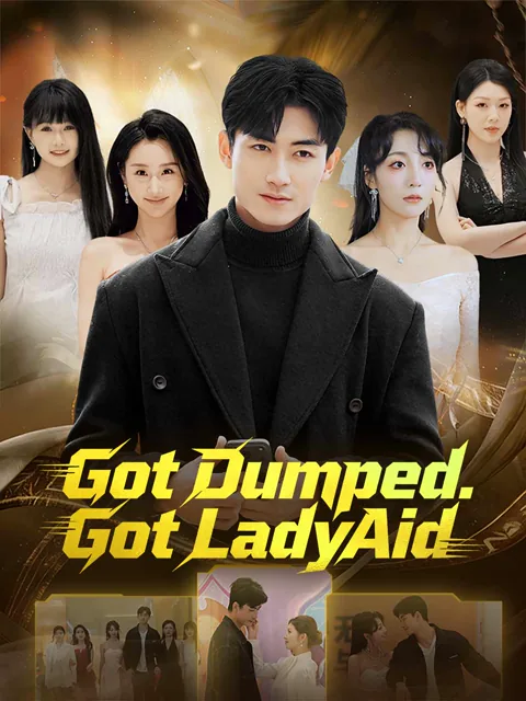 Got Dumped. Got LadyAid. poster