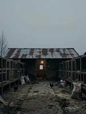 Gübre temizleyicinin yükselişi afişi