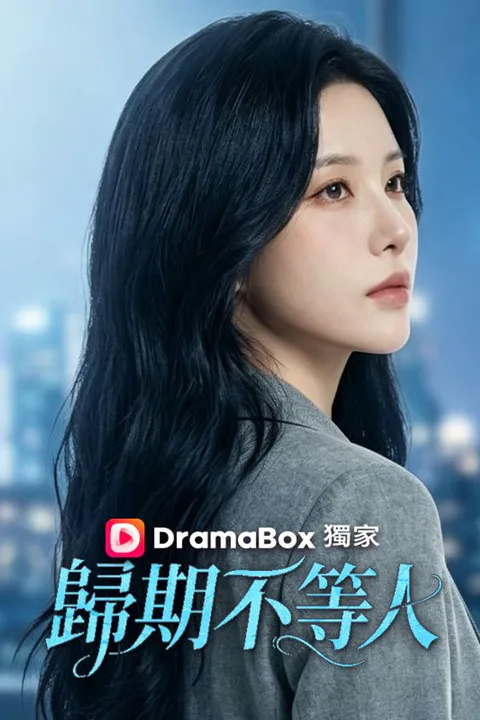 《歸期不等人》海報