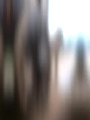 Güney Tapınağının mistik kızı afişi