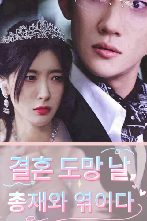 결혼 도망 날, 총재와 엮이다 포스터