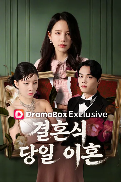 결혼식 당일 이혼 포스터