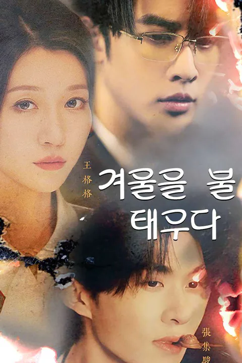 겨울을 불 태우다 포스터